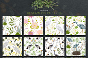Swamp flora and fauna, an Animal Illustration by kateja (Thumbnail 2 of 6)
