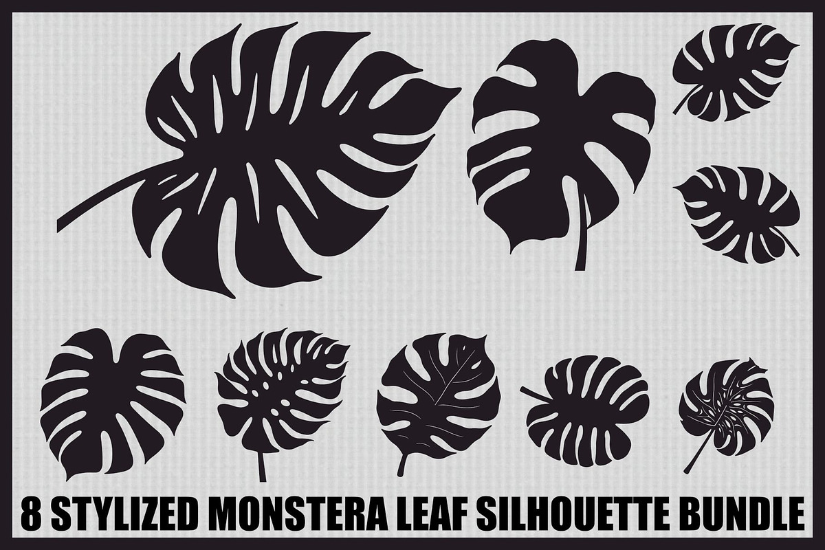 Stylized Monstera Leaf Bundle, an Illustration by hafijul (Photo 1 of 9)