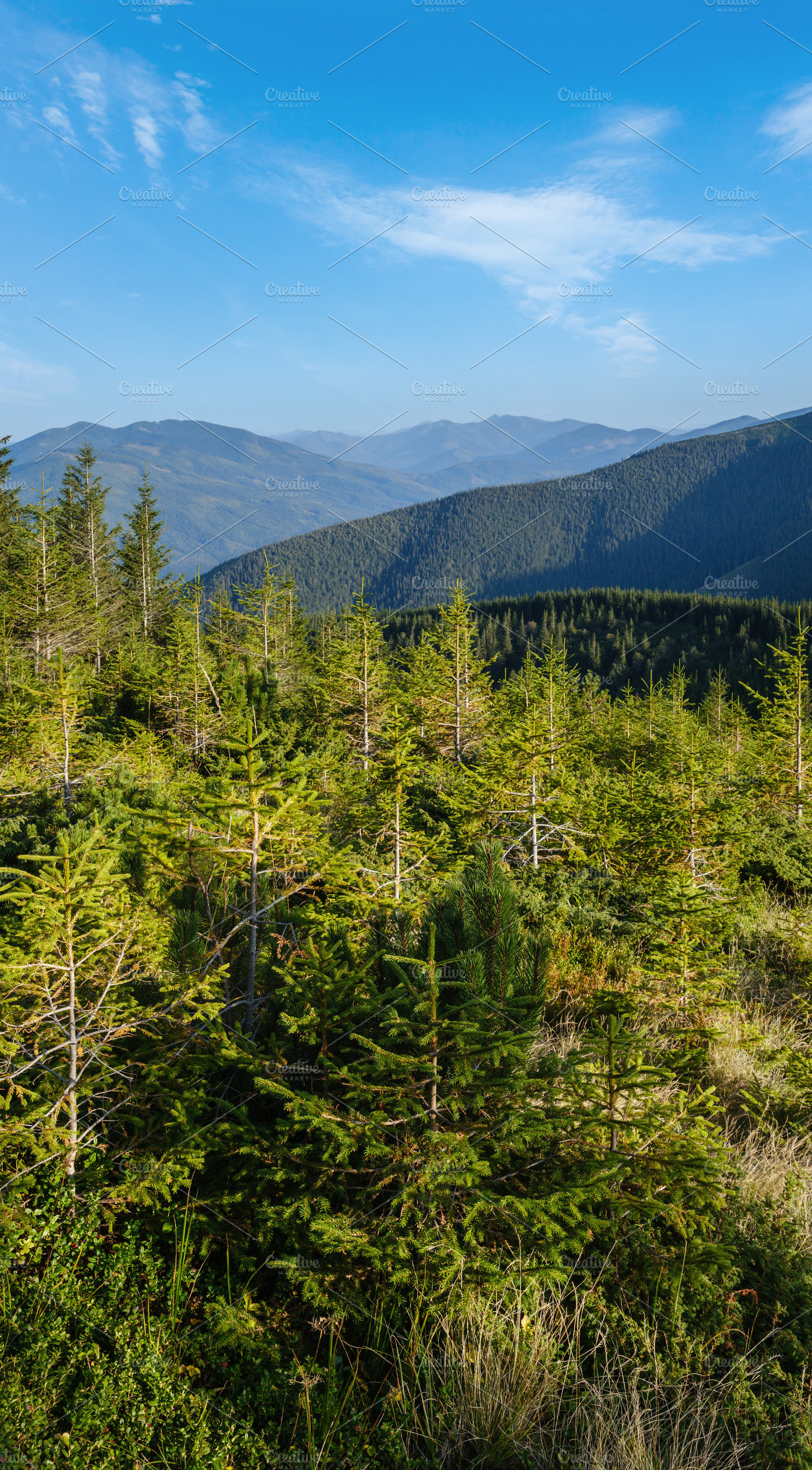 Summer Carpathian mountains evening view. Stony Gorgany massif,, a Nature Photo by YuriyB