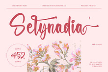Selynadia Bold Brush Font