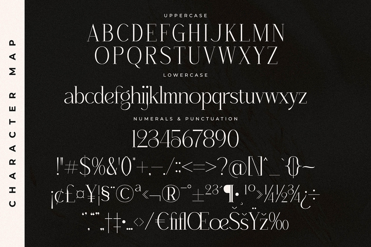 Qenliago Modern Serif Font, a Serif Font by Storytype Studio (Photo 13 of 15)