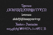 Violet Vision Victorian Circus Font, a Serif Font by The October Creative (Thumbnail 2 of 8)