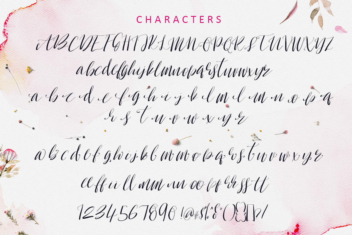 Oh Surrender Script Font preview 3