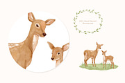 Watercolor Forest Animals Clipart, an Animal Illustration by ElenaPlatovaArt (Thumbnail 8 of 18)