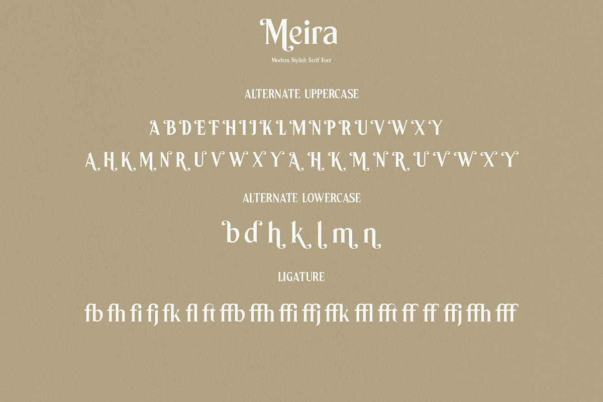 Meira Serif, a Serif Font by Alphaleonis_std (Photo 7 of 9)
