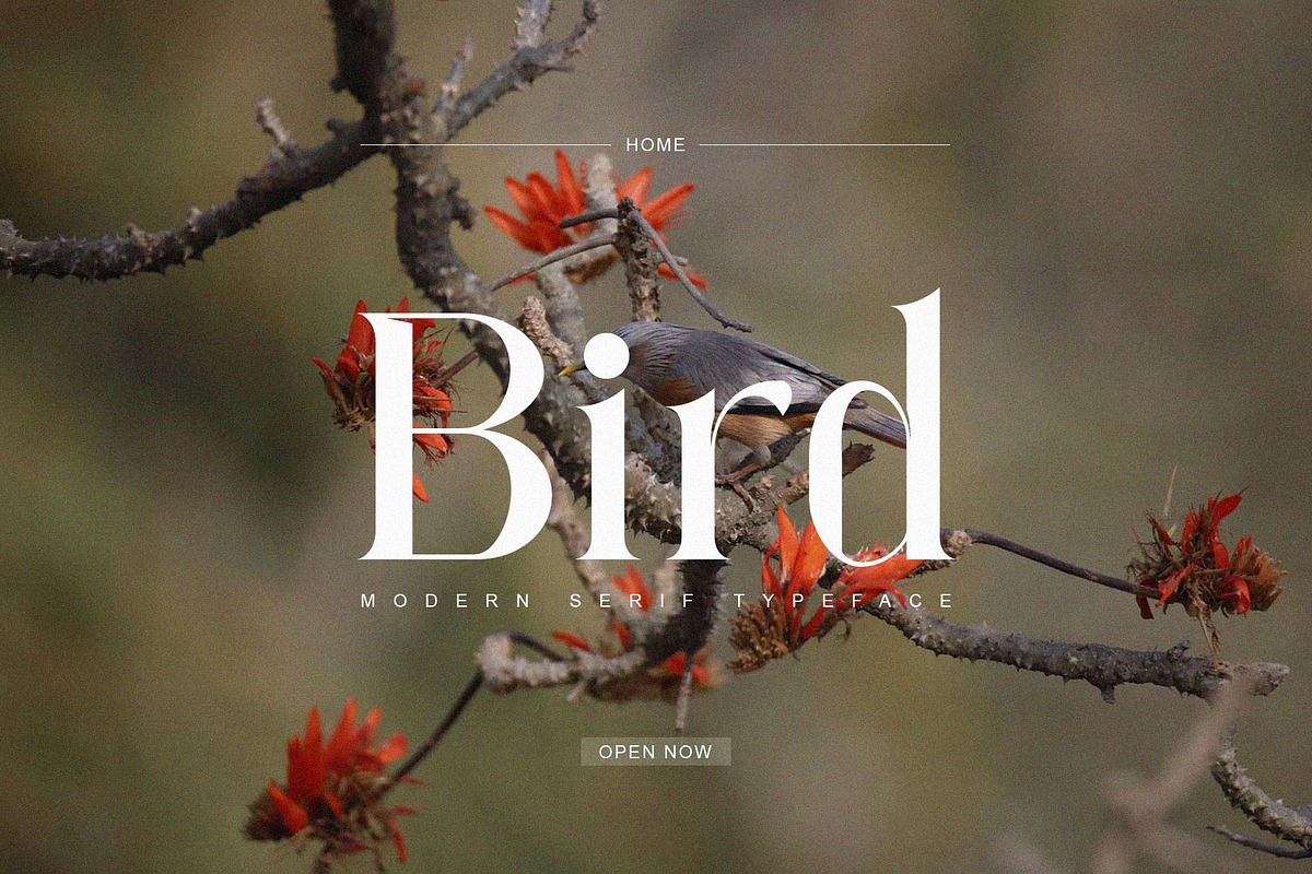 Forgue Modern Serif Typeface, a Serif Font by Dylla_studio (Photo 6 of 14)