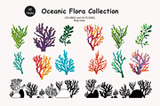 Algae & Coral Vector + Watercolor, an Object Illustration by IrenKlm (Thumbnail 1 of 4)