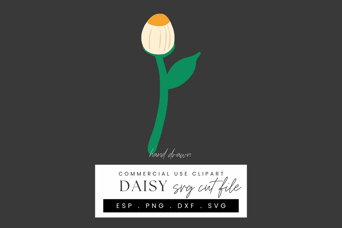 Daisy Papercraft SVG Bundle, Layered, an Illustration by illuztrate (Photo 11 of 12)