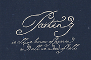 Lily of Sorrows - Spencerian Script, a Script Font by Lilithcollageart (Thumbnail 2 of 8)