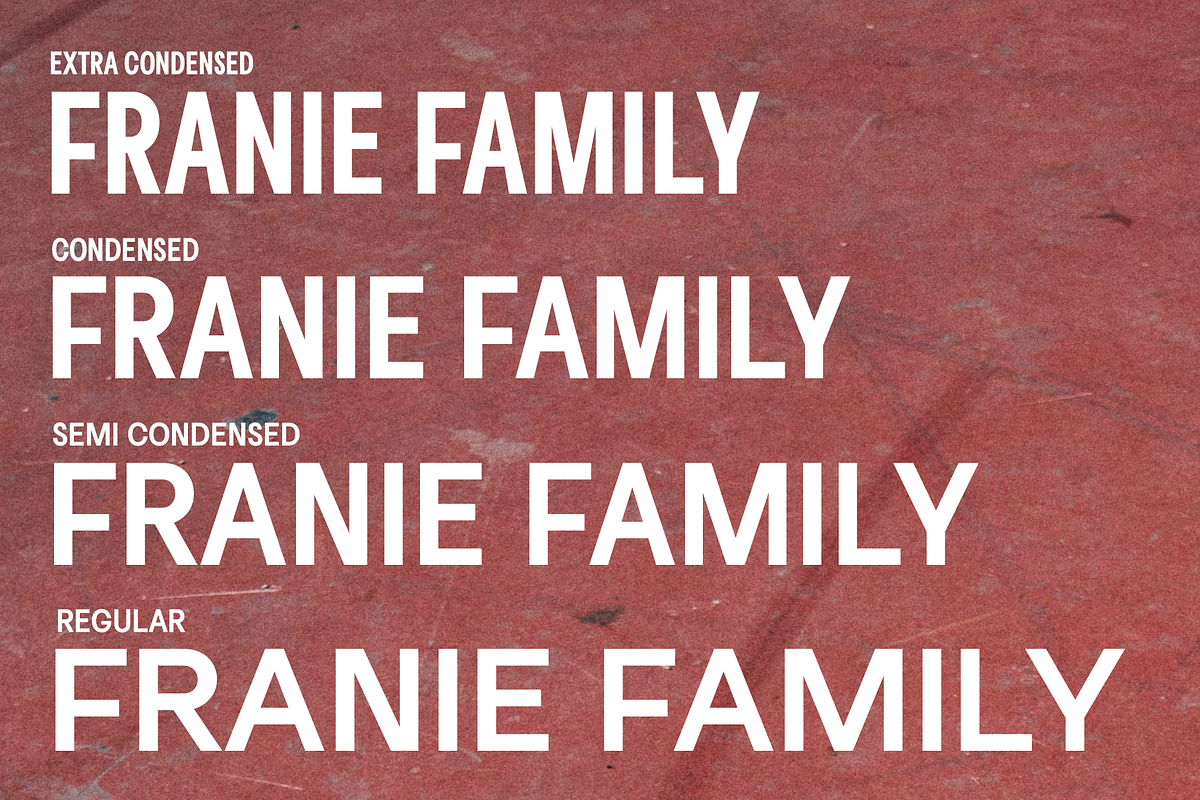 Franie Geometric Sans 72 Styles, a Sans Serif Font by That That Creative (Photo 5 of 14)