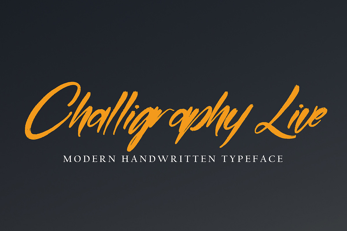 Rhusetam, a Handwritten Font by pineungtype (Photo 5 of 6)
