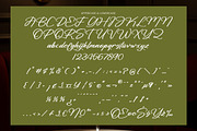 Royales Marketz, a Script Font by operatype.co (Thumbnail 13 of 15)