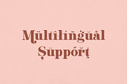 Mighty Aphrodite // A Classy Serif, a Serif Font by Megs Lang (Thumbnail 11 of 22)