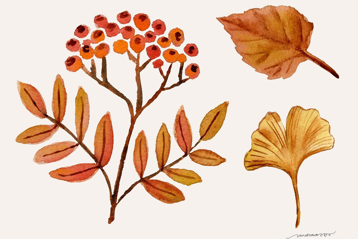 Autumn Leaves Watercolor Clipart PNG, a Seasonal Illustration by SandraGraphicDesign (Photo 3 of 5)