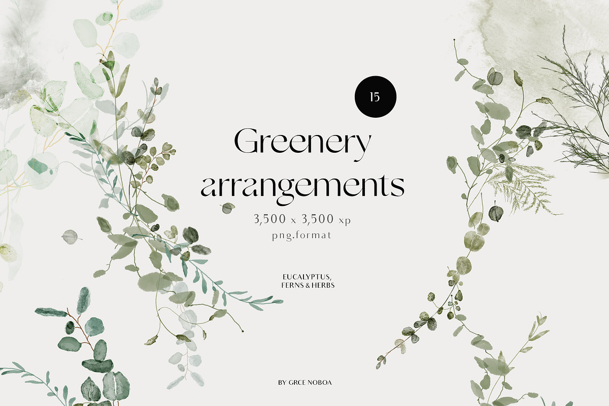 GREEN FOLIAGE - greenery & gold set, a Decorative Illustration by Grace Noboa Illustrations (Photo 3 of 10)