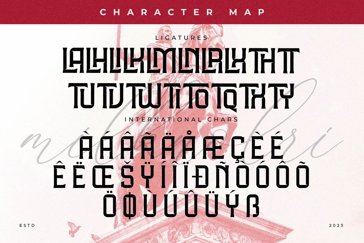 Milknolri A New Display Font, a Serif Font by Storytype Studio (Photo 14 of 15)