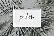 Julietta Script Font, a Script Font by The Styled Script (Thumbnail 3 of 9)