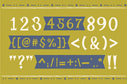 Beechwood Hand, a Serif Font by Lauren Barr Studio (Thumbnail 6 of 6)