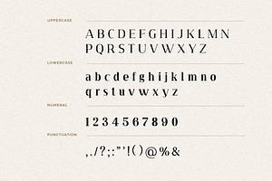 Tribenidaz Serif Display Font