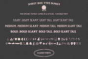 Spirit Box Serif Type Family, a Serif Font by Beck McCormick (Thumbnail 20 of 20)