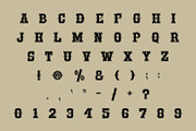 Desert Vintage - Western font, a Slab Serif Font by Limited.studio (Thumbnail 6 of 6)