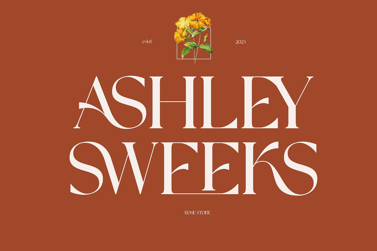 Witerlam - Serif Display Font, a Serif Font by Luna Shop (Photo 8 of 11)