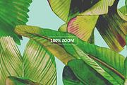 Lush. Tropical pattern, a Pattern Graphic by emeraldthue (Thumbnail 4 of 7)