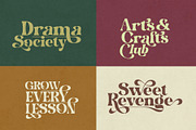 Hakiny – Serif Font, a Serif Font by NDNL Studio (Thumbnail 5 of 9)