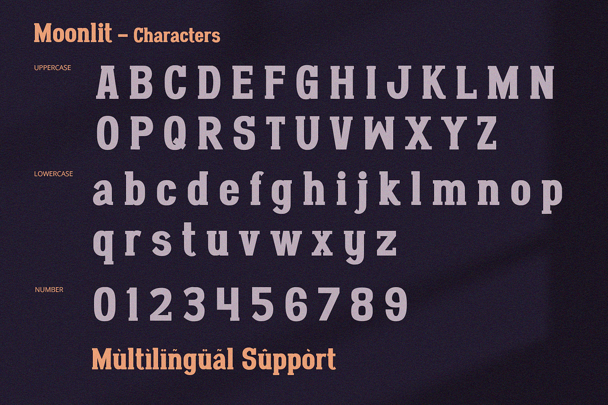 Moonlit - Bold Serif, a Serif Font by Alpaprana (Photo 5 of 8)