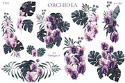 Orchidea, an Illustration by Salted Galaxy (Thumbnail 4 of 11)
