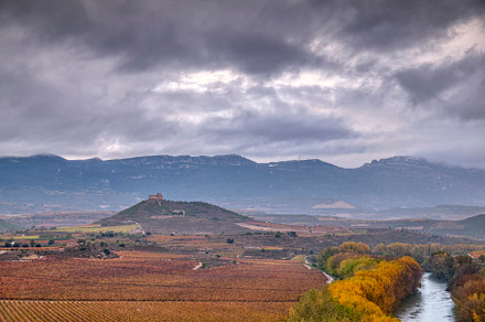 Vineyards in La Rioja, Spain., a Nature Photo by CreativePhotoSpain