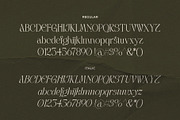 LT Rogile - Modern Serif Typeface, a Serif Font by Luminotype (Thumbnail 16 of 20)
