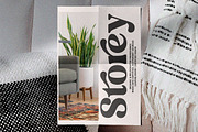 Folker Typeface, a Serif Font by Megatype (Thumbnail 6 of 15)