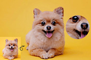 Classic Watercolor Photo Effect, an Action Add-On by Photoshop Action (Thumbnail 26 of 27)