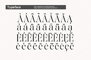 The Effolia | 9-Weight Classy Family, a Serif Font by Pista Mova (Thumbnail 21 of 31)