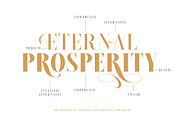 Brioche - (Medium & Black), a Serif Font by Sarid Ezra (Thumbnail 2 of 8)