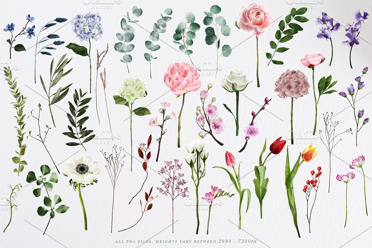 English Garden Watercolour florals, a Decorative Illustration by Katy Clemmans (Photo 3 of 13)