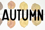 Autumn Farmhouse, a Script Font by FreshTypeINK (Thumbnail 8 of 8)