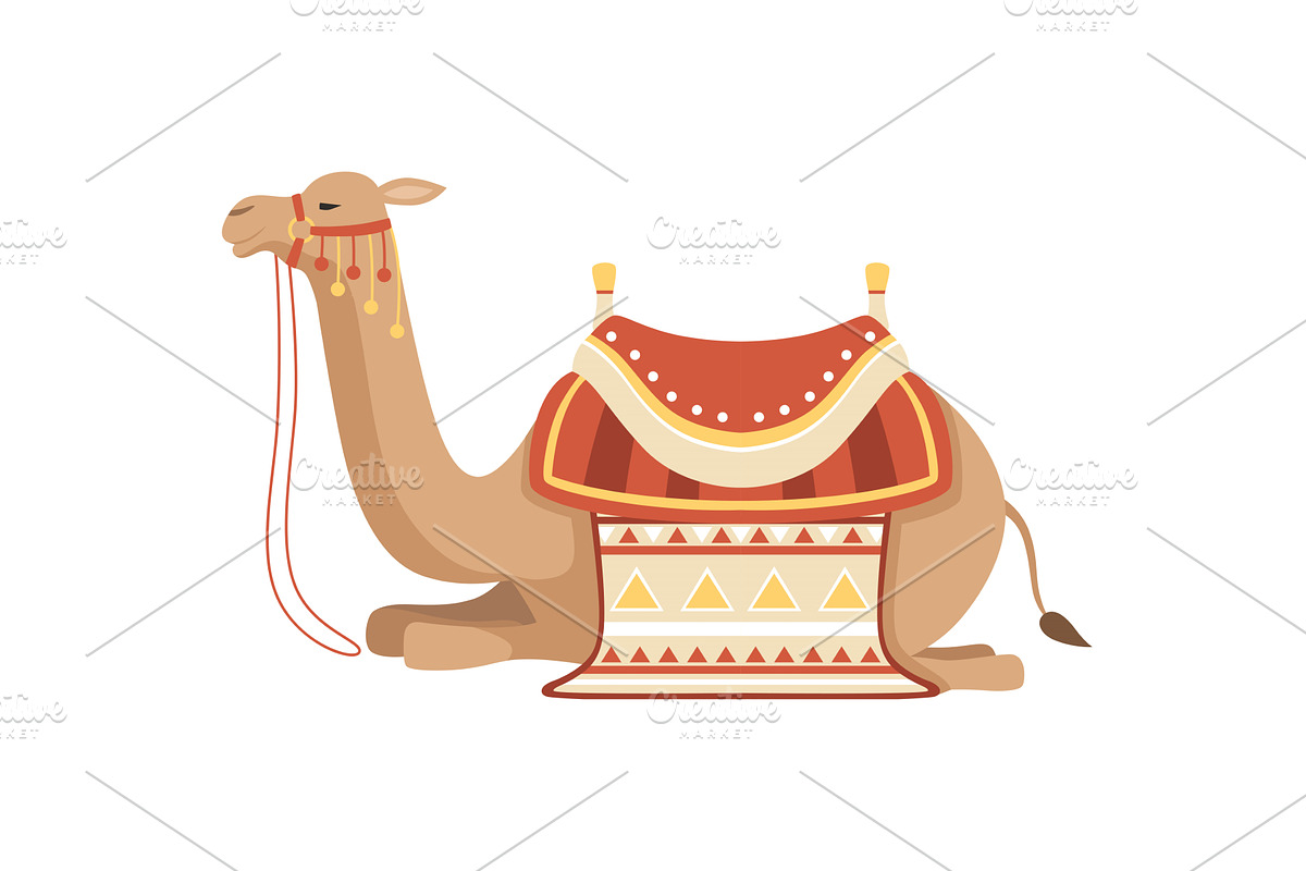 Lying Camel, Two Humped Desert, an Animal Illustration by TopVectors
