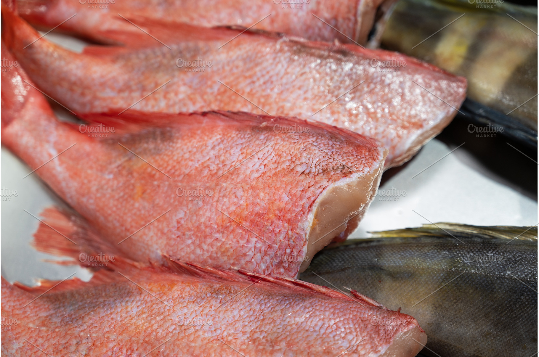 Fresh raw greenling fish and sea, a Food & Drink Photo by Jan Jack Russo Media