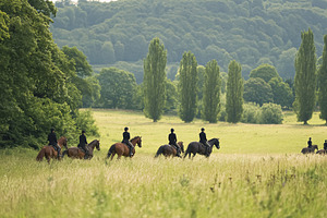 Group of riders on horseback traveling through a long reedy mead, a Photo by Studio ANNA