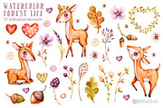 Forest Nursery Watercolor clipart, an Animal Illustration by UlitkaStudio (Thumbnail 3 of 8)