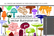 Mushrooms - vector illustration set, a Food Illustration by Renée from Studio neetje (Thumbnail 5 of 6)