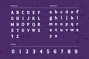 Paperio — Modern Display Font, a Serif Font by Studio Moara (Thumbnail 2 of 8)