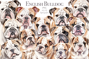 English Bulldog, an Animal Illustration by TheCuteShop (Thumbnail 1 of 3)