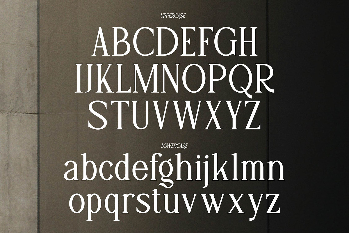 Adigul | Modern Serif, a Serif Font by Denustudios (Photo 10 of 13)