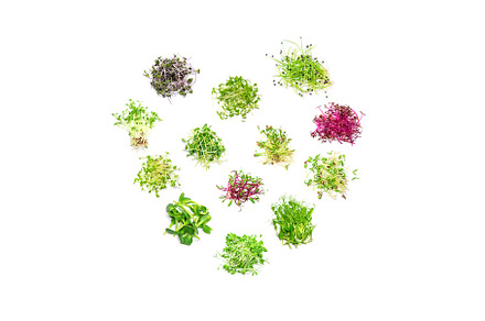 Collage of different microgreens on, a Food & Drink Photo by yanadjana