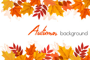 Fall Autumn Background, a Decorative Illustration by ecco
