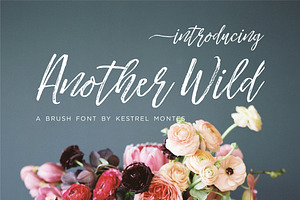 Another Wild Modern Brush Script