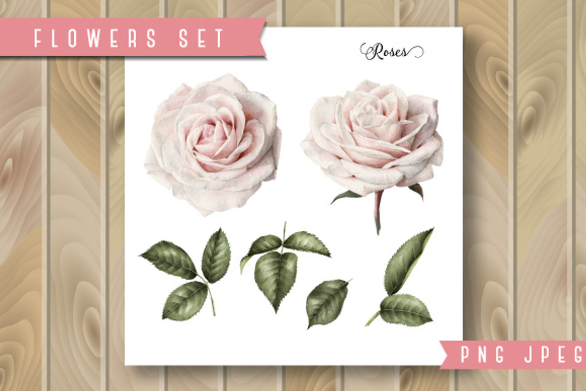 Set of isolated roses and leaves, a Decorative Illustration by ollalya